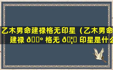 乙木男命建禄格无印星（乙木男命建禄 🌺 格无 🦋 印星是什么）